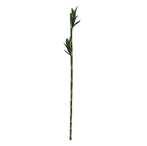Folhagem Artificial Haste de Bambu Verde 1m